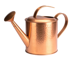 Copper watering can (2)