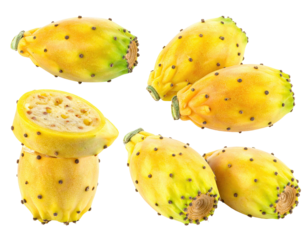 Close-up of several prickly pears