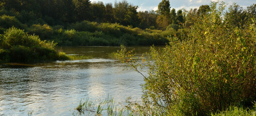 Thick bushes along the banks of a beautiful stormy river by summer sunny evening.