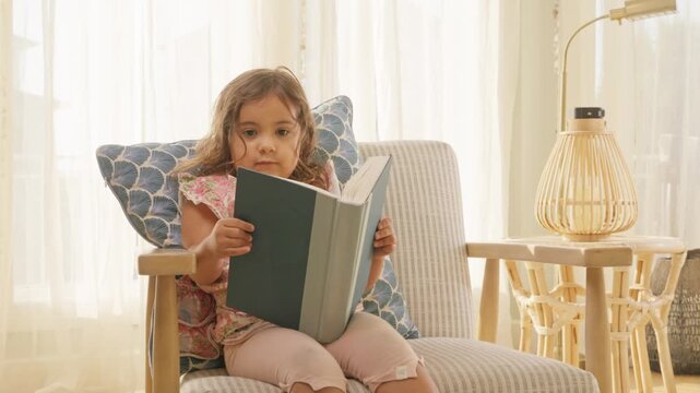 Young Kid Reading Indoors in Sunlit Family Living Room