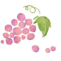 水彩風に描いた葡萄のイラスト