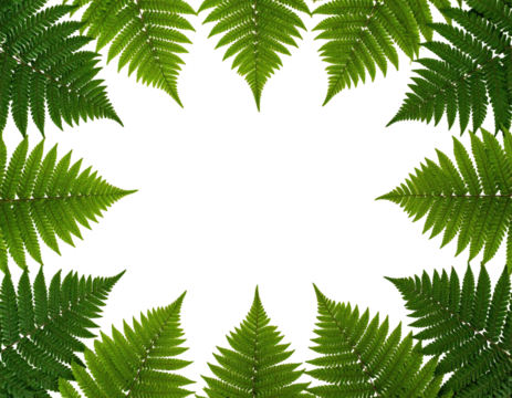 Intricate fern mandala design - Powered by Adobe