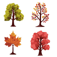 Tree Autumn Collections