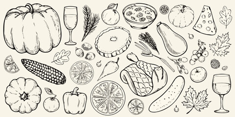 Hand drawn sketch of autumn harvest food and drink elements for thanksgiving or fall celebration