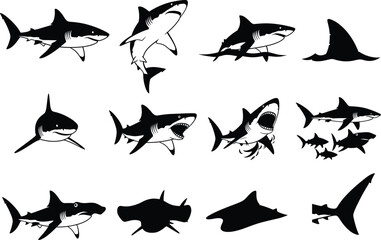 Shark Silhouette Vector Set, Ocean Predator Icons and Marine Wildlife Illustration