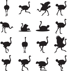 Obraz premium Ostrich Silhouette Collection: A stark black and white collection of dynamic silhouettes of an ostrich, showcasing various poses and movements, offering a study in form and motion.