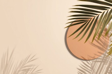 Minimalist composition palm fronds cast shadows on a neutral-toned surface with a circular platform
