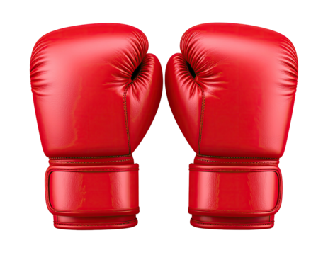 Pair of red boxing gloves (4)