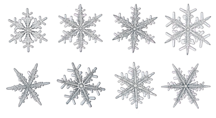 Eight Unique Snowflakes Winter Crystal Collection featuring snowflake, snowflakes, snow, winter, ice perfect choice for advertisement