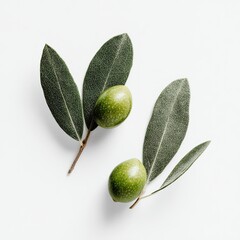 Overhead shot of two olive branches with green fruit and leaves on a white surface