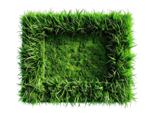 Lush green grass forming a rectangle