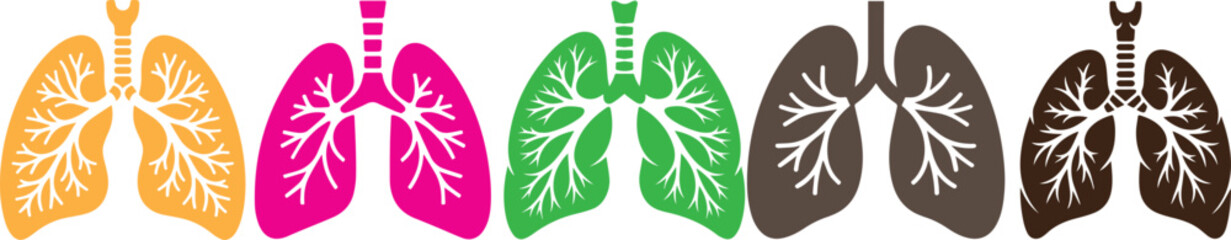 Colorful human lungs illustration showing respiratory system and bronchial structure, symbolizing health, medicine, biology, anatomy, breathing, and medical education concept design.