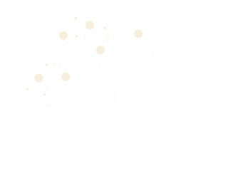 White & beige bokeh circles. Abstract overlay, graphic light effects PNG