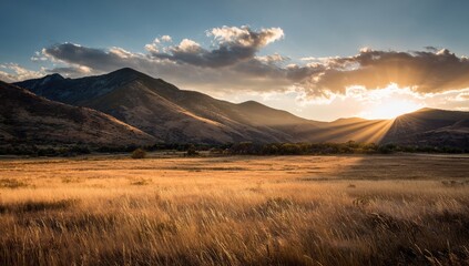 Golden sunset over a valley.  Mountains rise beyond a golden field