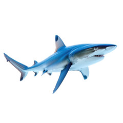Fototapeta premium A blue shark swimming in the ocean. The marine life concept of aquatic animals.