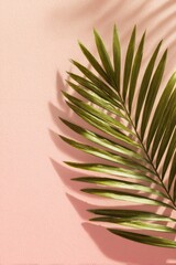Close-up of a vibrant green palm leaf casting a shadow on a soft pink surface
