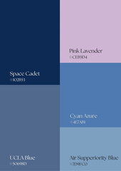 Innovative palette combinations redefining creative boundaries for photography editing, web templates, and professional brand storytelling.