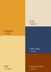 Artistic palette ideas tailored for creative individuals seeking inspiration across multimedia platforms and branding environments.