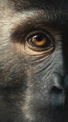 Detailed Animal Gaze Vector Collection
