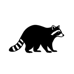 Vector silhouette of a raccoon in black, isolated on white background. Ideal for wildlife symbol, forest animal illustration, logo design, or nature and outdoor graphic element
