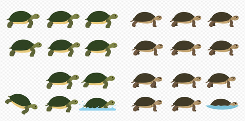 A grid illustration of cartoon turtles, showing two distinct color variations, with some partially submerged in water.