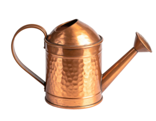 Miniature copper watering can