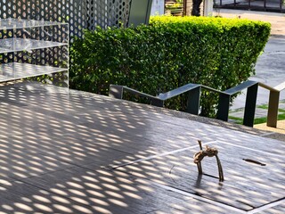 people walking on the street