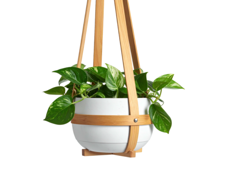 Wooden hanging planter with a potted plant