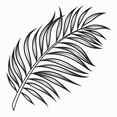 Obraz premium A simple black and white line drawing of a single palm frond with many slender leaves fanning out from a central stem