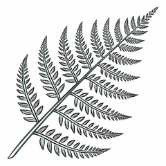 Detailed illustration of a single green fern frond with delicate leaves on a white background botanical art
