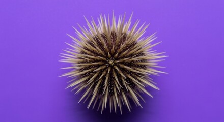 Grilled seafood skewers with shrimp, scallops, and colorful vegetables on a vibrant orange background