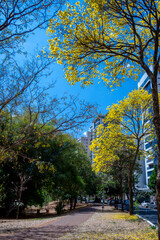 Naklejka premium View of 'Alameda das Rosas ' in Goiania, Brazil