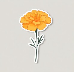A bright yellow marigold with green stem and leaves on a neutral background