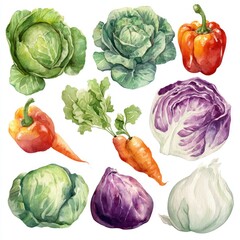 Watercolor illustration of various colorful vegetables, realistically painted on white