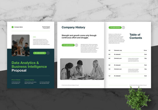 Green Black Data Analytics And Business Intelligence Proposal