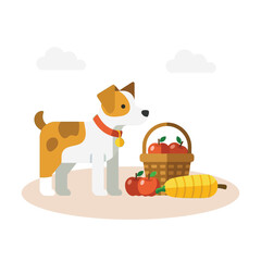 Cute dog with basket of apples and corn on the cob.