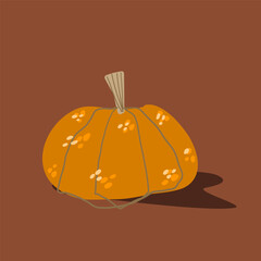 Orange pumpkin vegetable isolated vector illustration