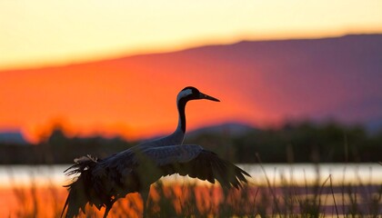 Crane at golden hour
