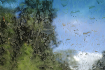 Abstract view of nature through dirty car window with blurry stains. obscured glass reflects green tree and blue sky, creating dreamy, textured background
