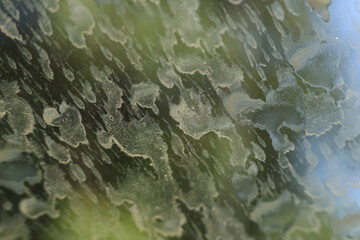 Dirty car window with abstract grimy stain texture. Close up view of weathered glass residue...