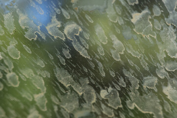 Close up texture of dirty car window with abstract stain patterns on glass surface. unclean background shows poor visibility, creating neglected feeling
