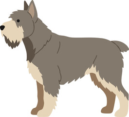 Simple Flat Style Schnauzer Dog Breed Illustration in Standing Pose