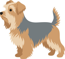 Cute Flat Illustration Yorkshire Terrier Dog Full Body Animal
