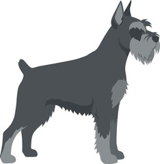 Minimalist Flat Style Schnauzer Dog Breed Side View Simple Illustration
