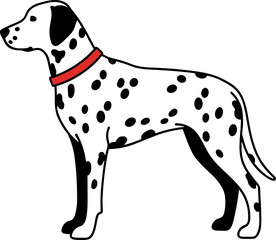 Cartoon Dalmatian with Red Collar Illustration Graphic Animal Breed