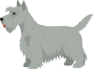 Cute Flat Scottish Terrier Dog Character Illustration Graphic Asset
