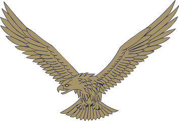 Golden Eagle with Wings Spread Vector Illustration