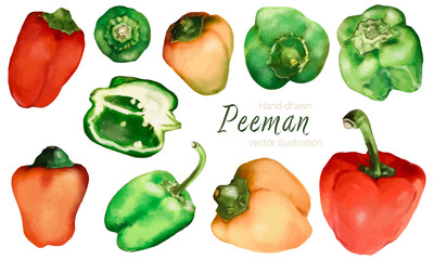 水彩で描いたカラフルなピーマンのイラスト素材