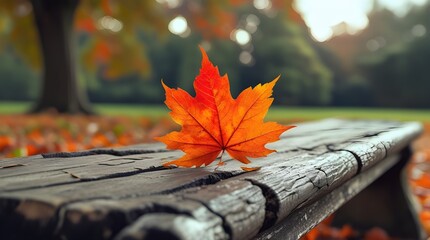 A freshly fallen autumn leaf resting on a weathered wooden bench, sharp details in natural daylight