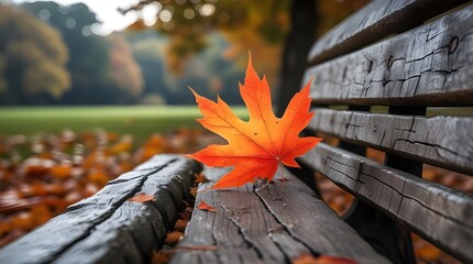 A freshly fallen autumn leaf resting on a weathered wooden bench, sharp details in natural daylight